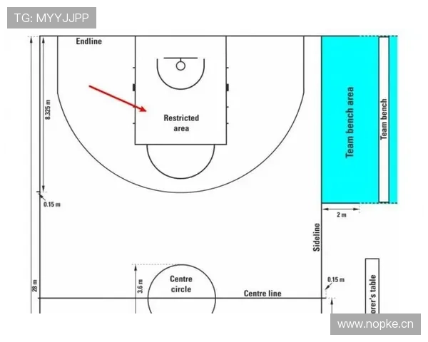 罚球规则NBA与FIBA区别解析及判罚标准说明 罚球规则NBA与FIBA区别解析及判罚标准说明